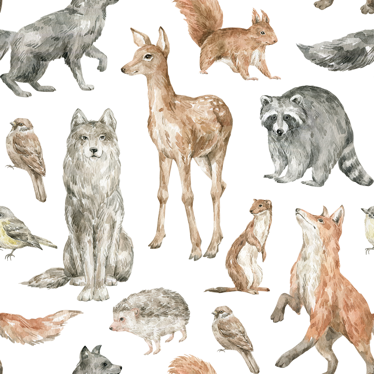 Forest Animals With Birds Wallpaper