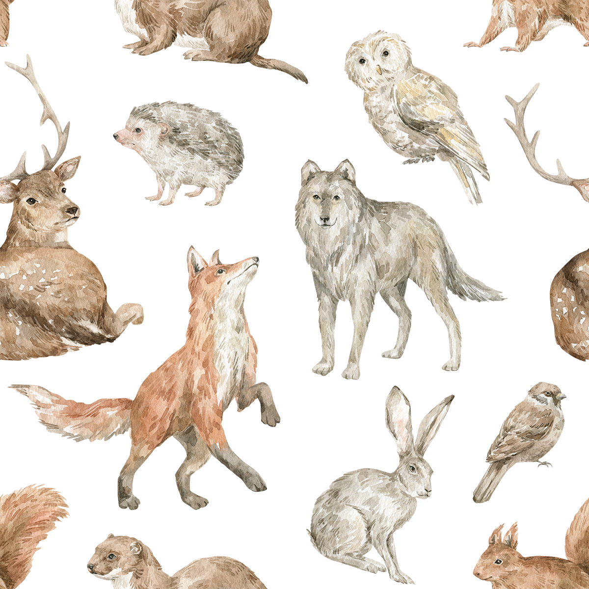 Forest Animals with Owls Wallpaper