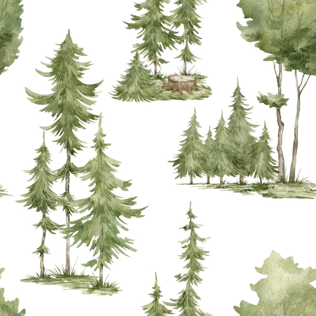 Beautiful Pine Trees Wallpaper