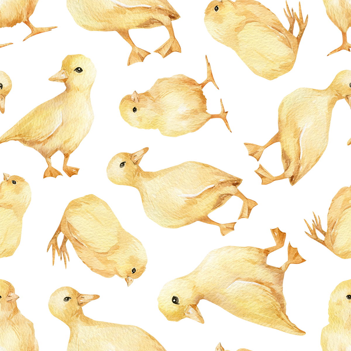 Adah - Grace Baby Duck Wallpaper