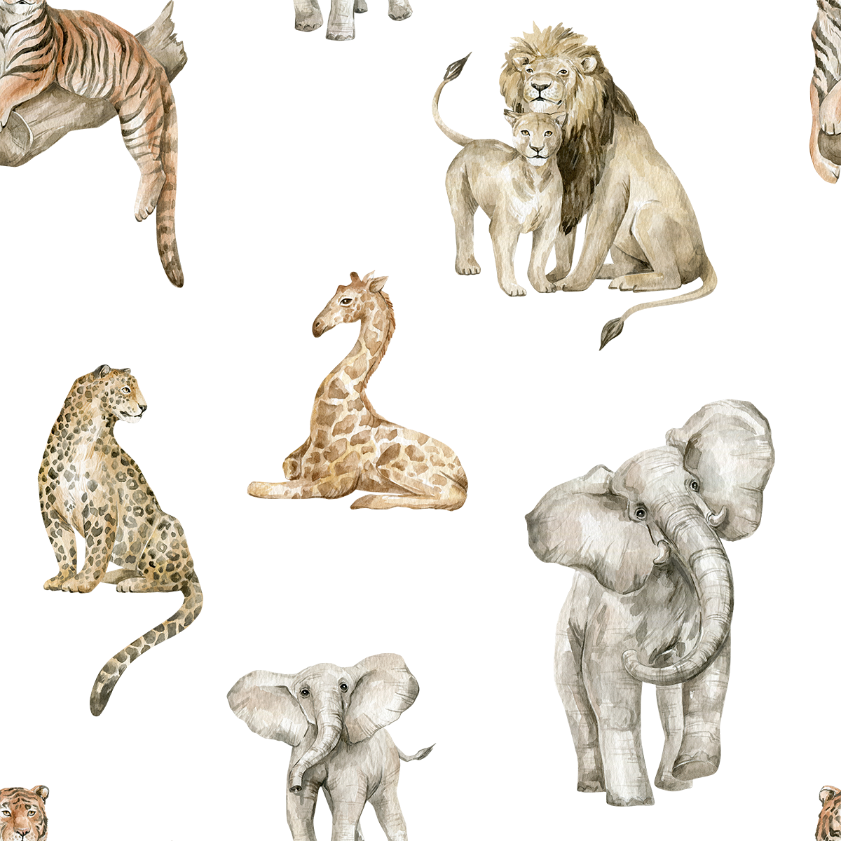 Lion and Cheetah Wallpaper
