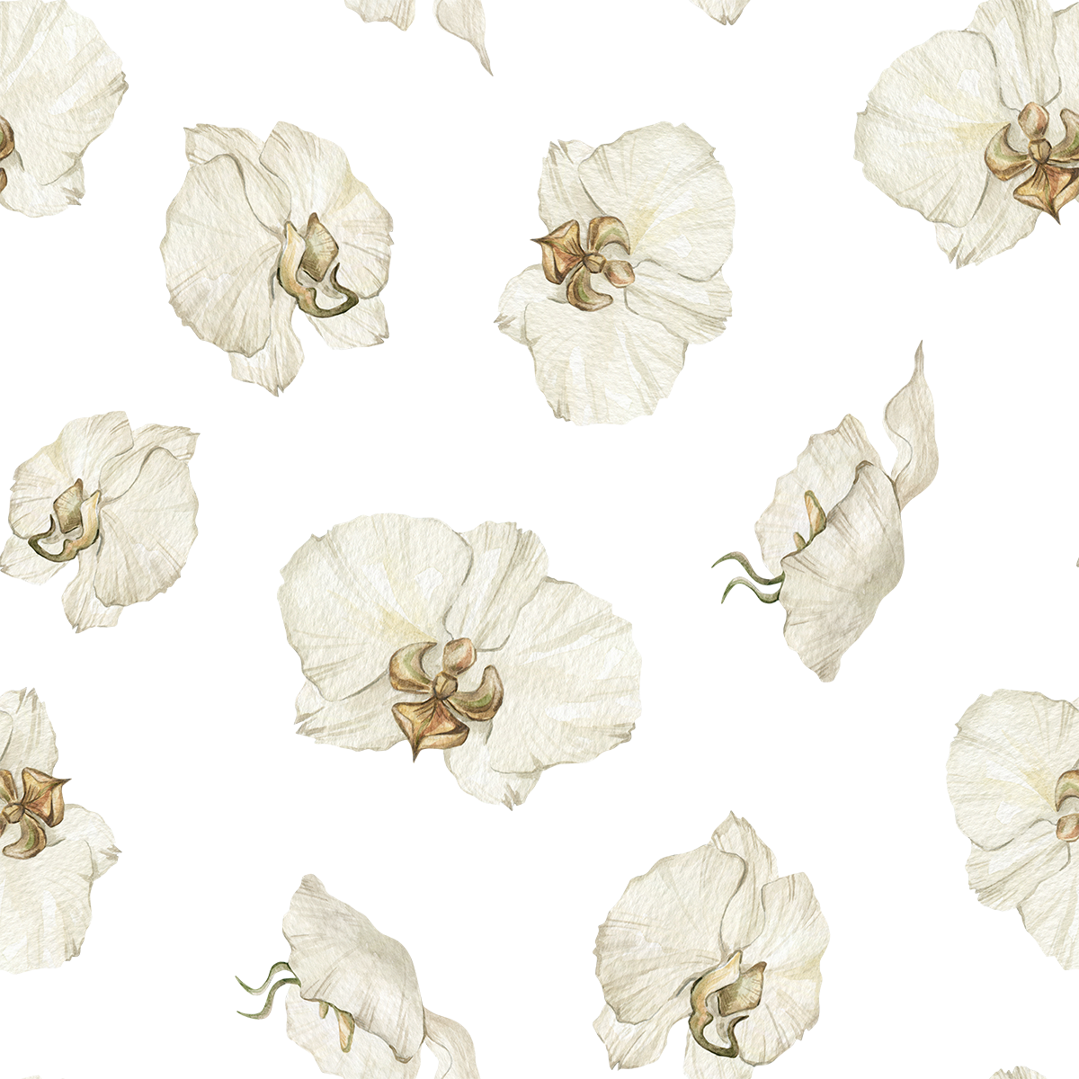 Fresh White Flower Wallpaper