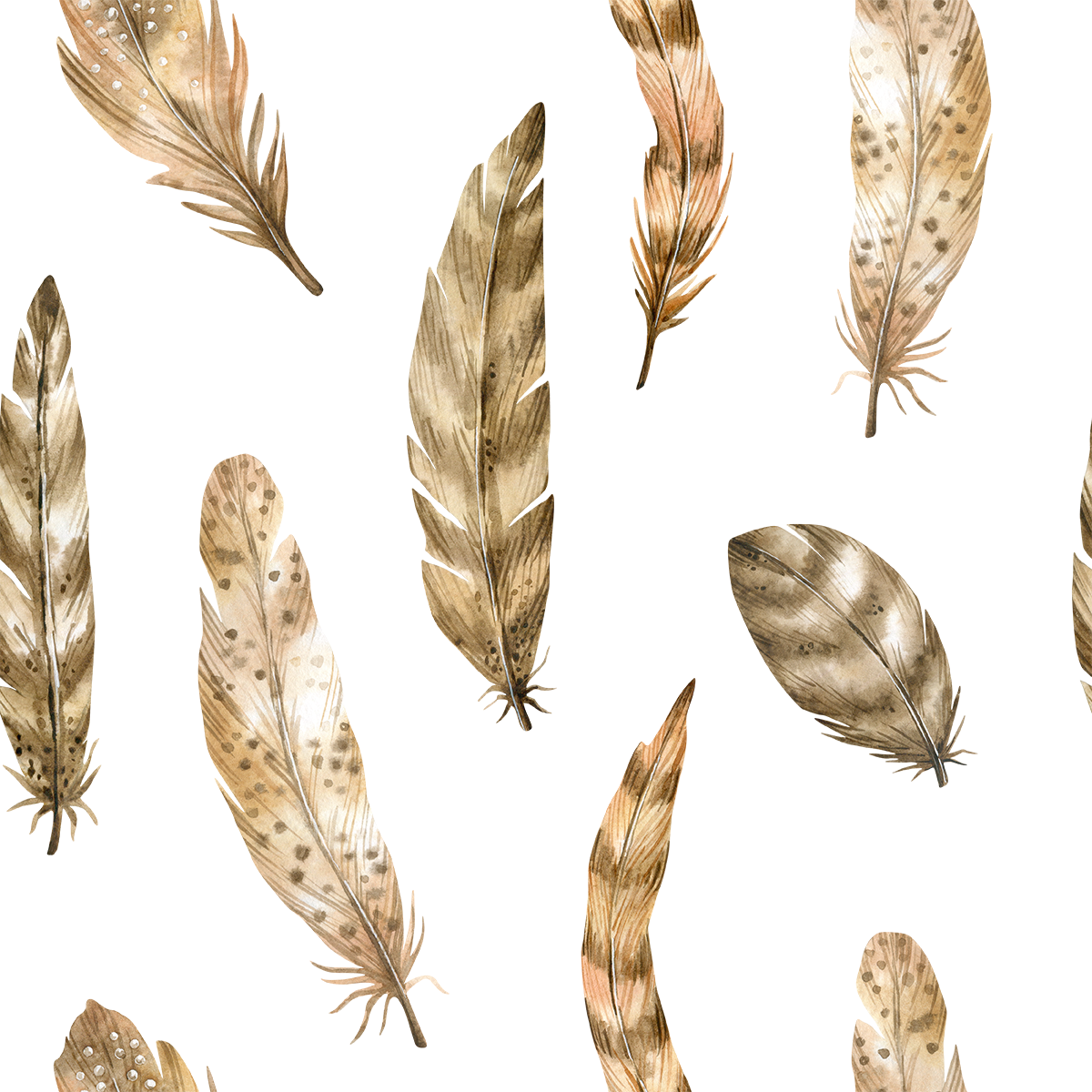 Prairies Wild Bird Feather Wallpaper
