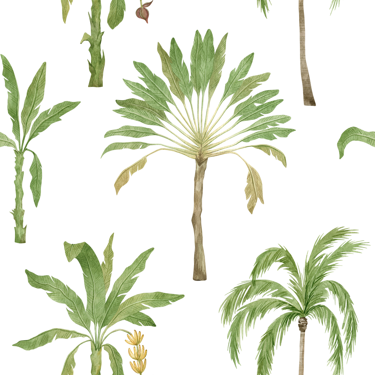 Tropical Palm Trees on a White Background Wallpaper