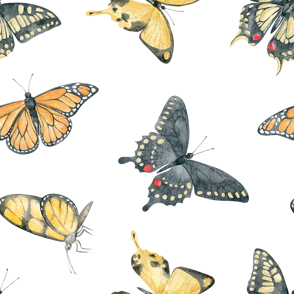 Jill's Summer Flora Butterfly Wallpaper