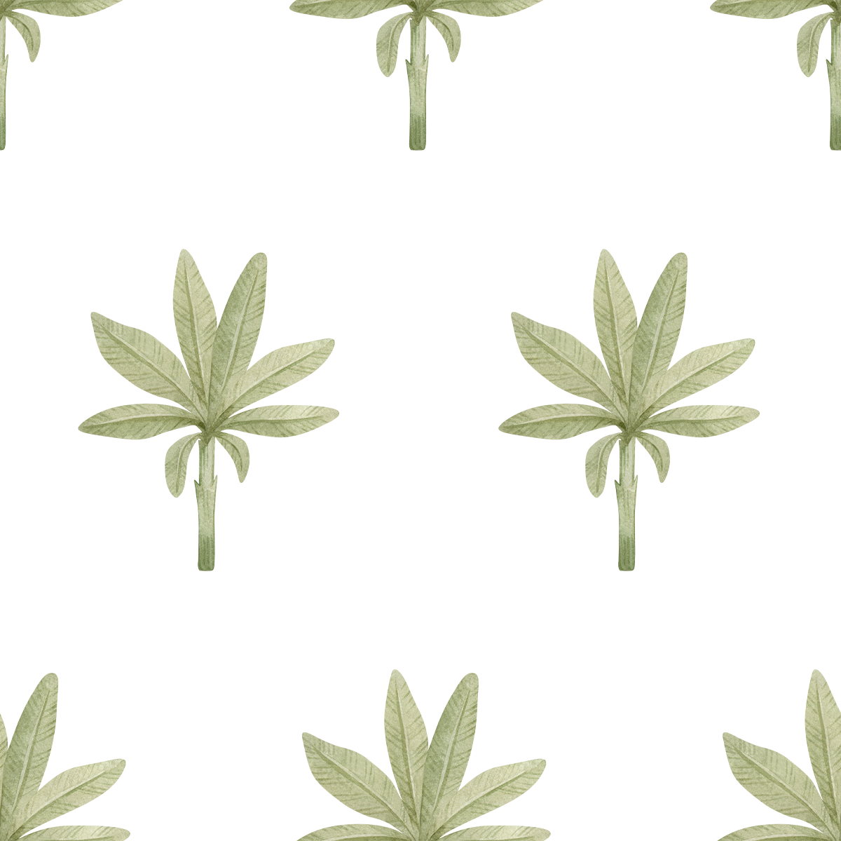 Baby Palm Tree Wallpaper