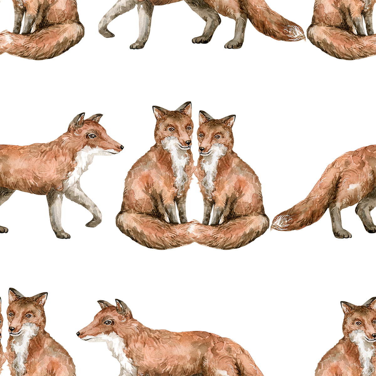 Fox Couple Wallpaper