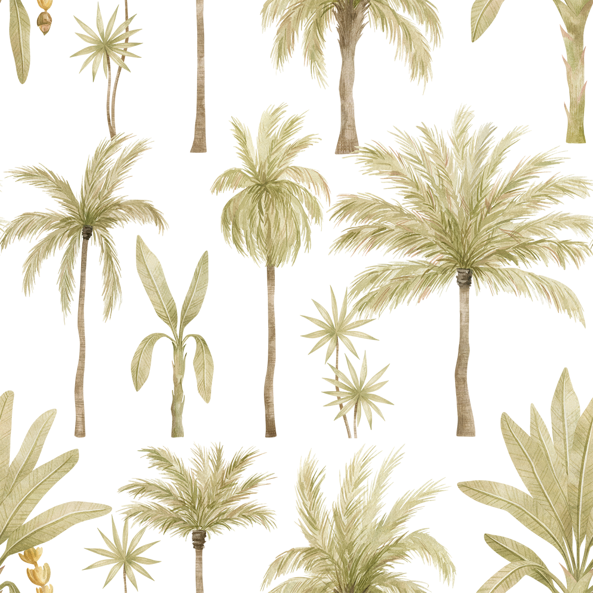 Palm Wallpaper