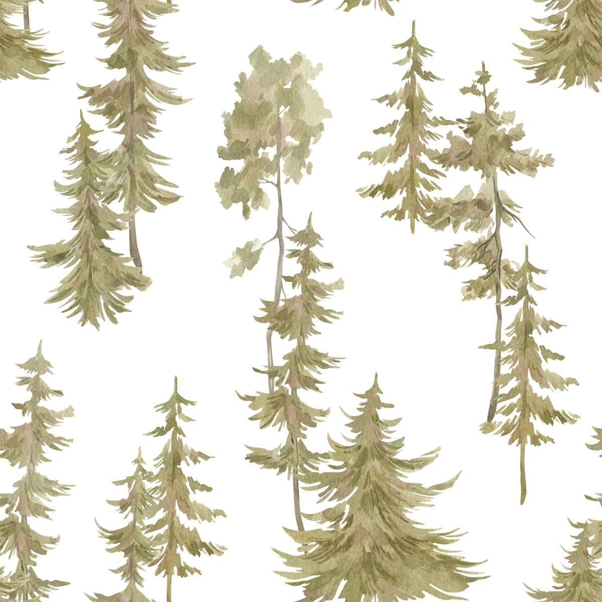 Natural Wonder Pine Trees Wallpaper