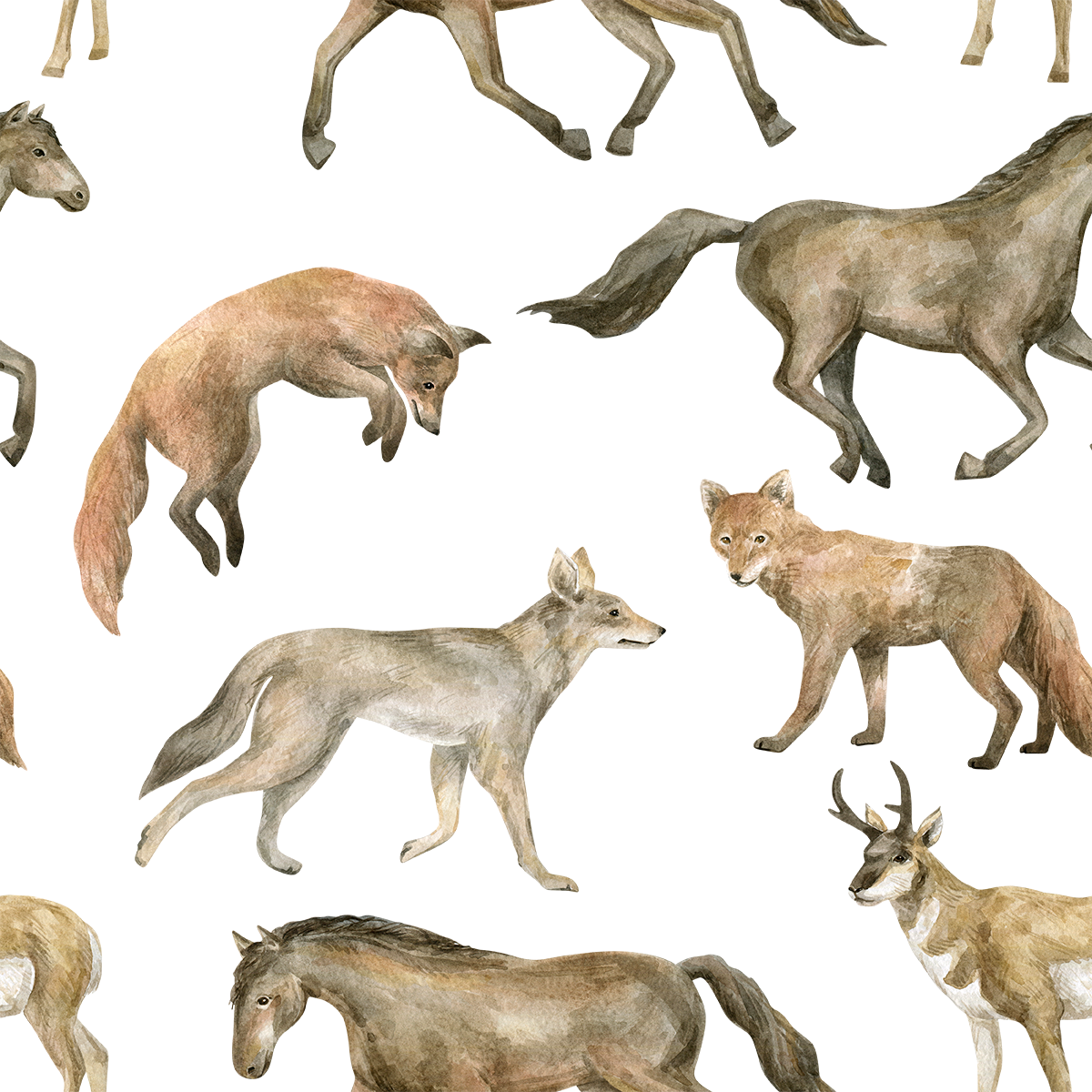 Prairies Animals Wallpaper