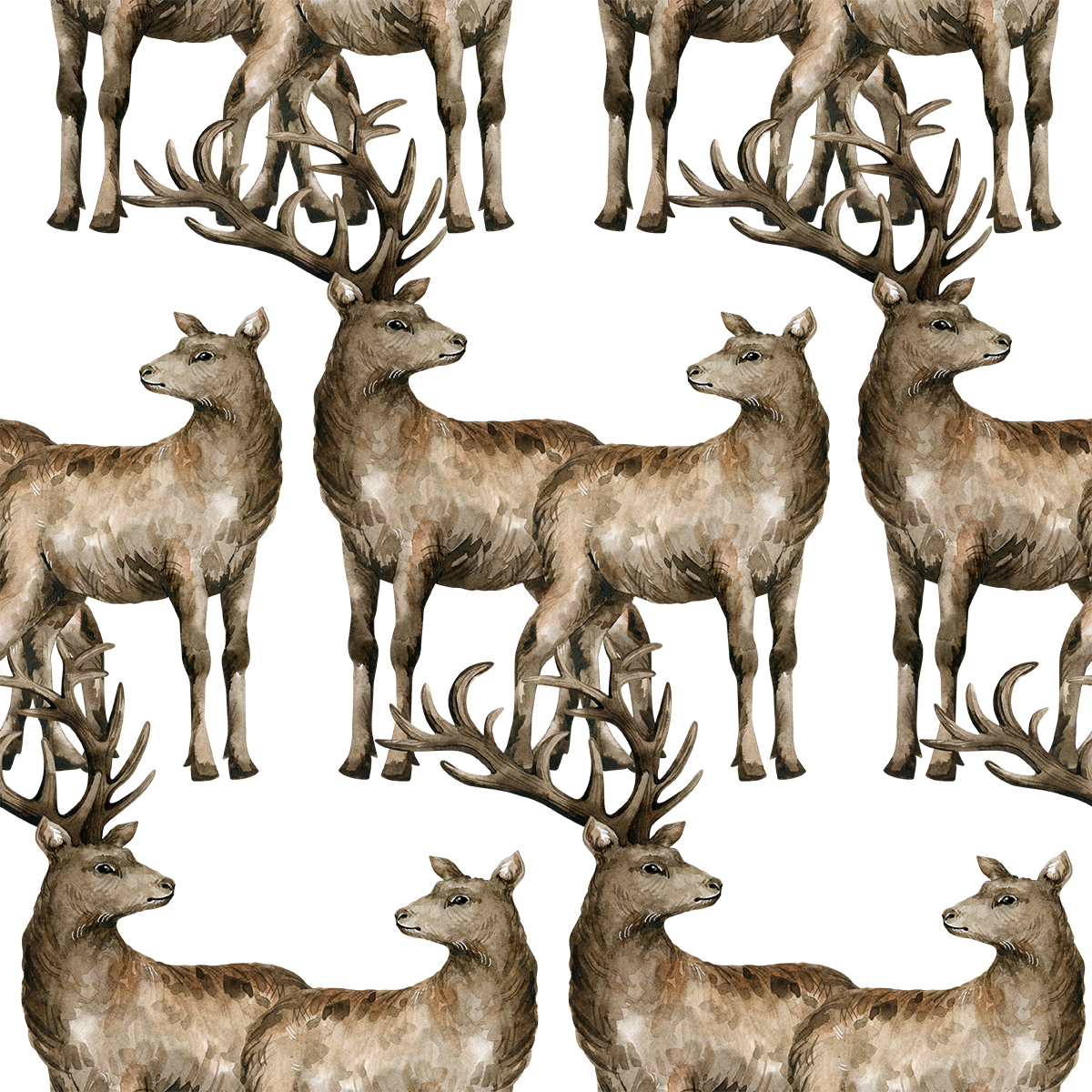 Autumn Forest Animals Wallpaper