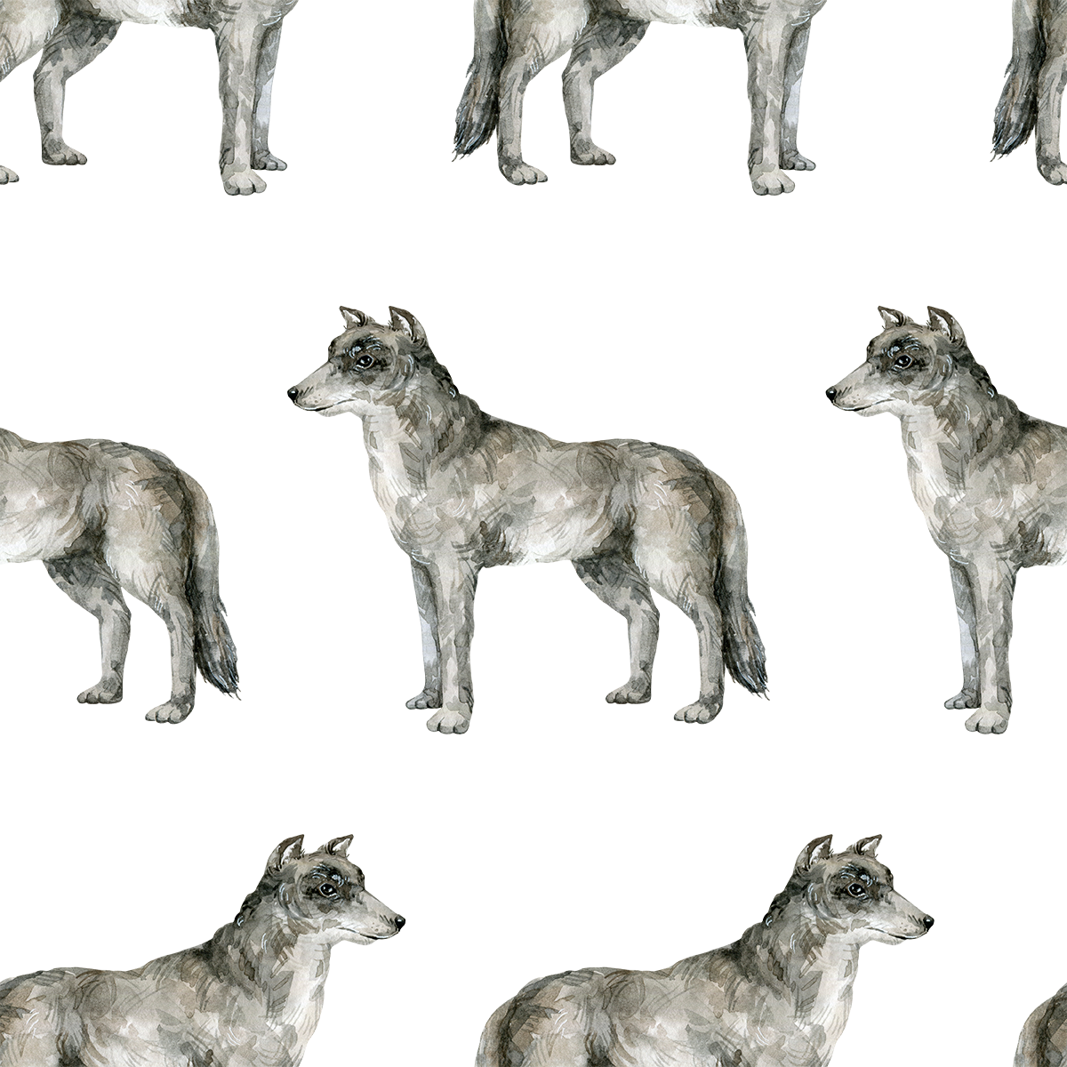 Wolf Wallpaper