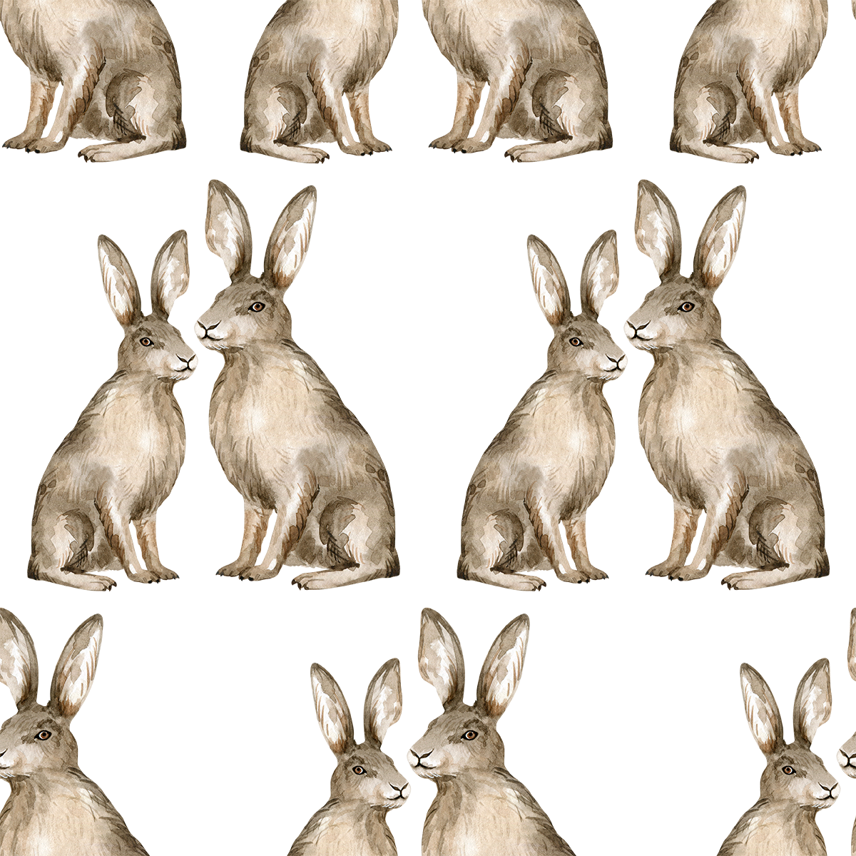 Hares Wallpaper