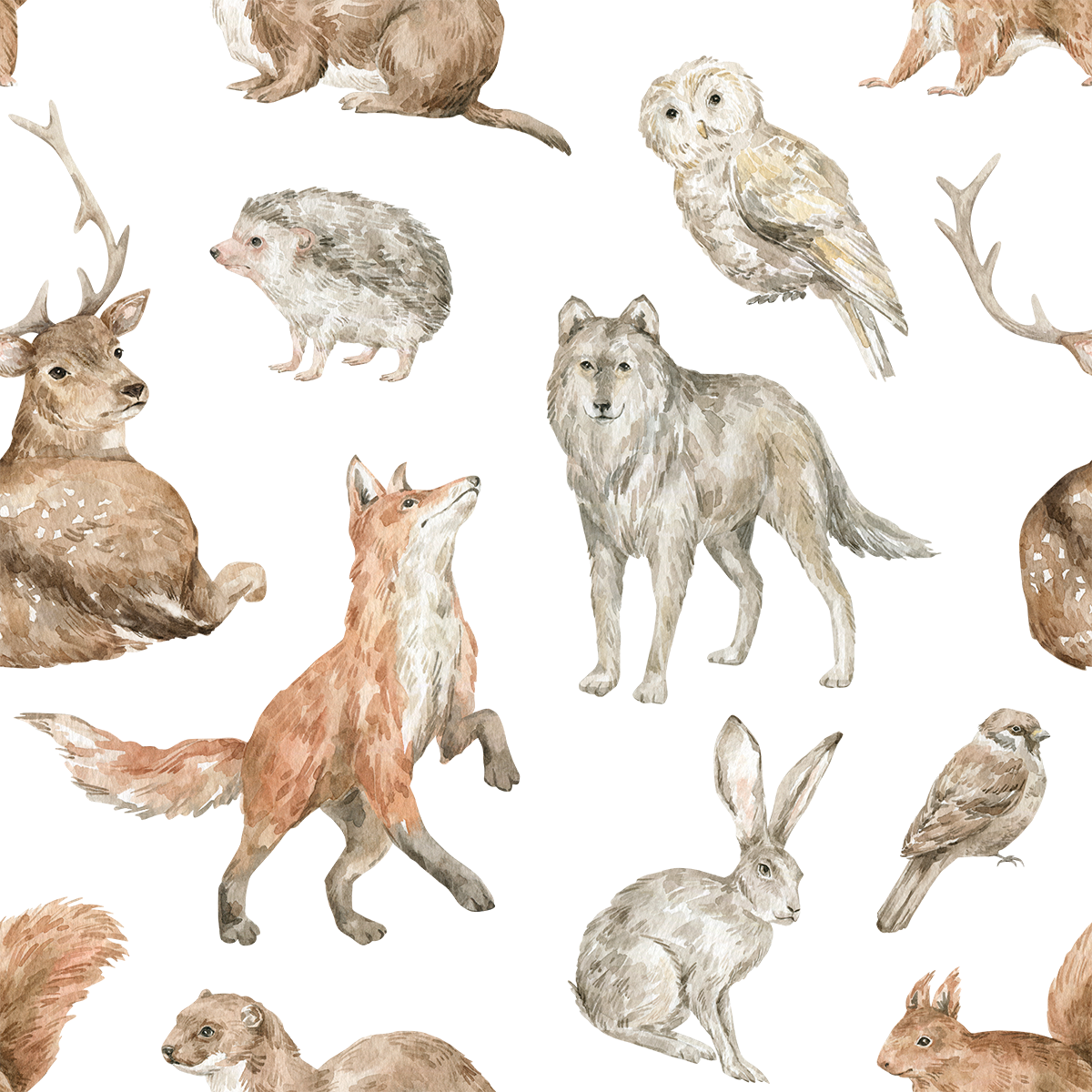 Forest Animals 3