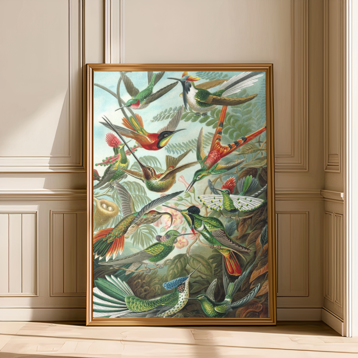 Trochilidae Hummingbirds Art Print