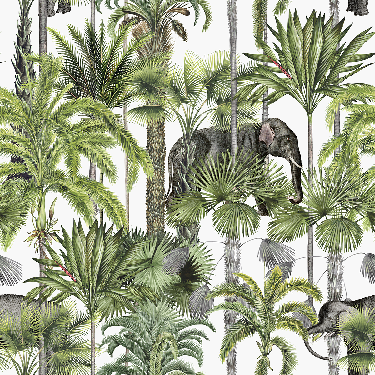 Tropical White Wallpaper