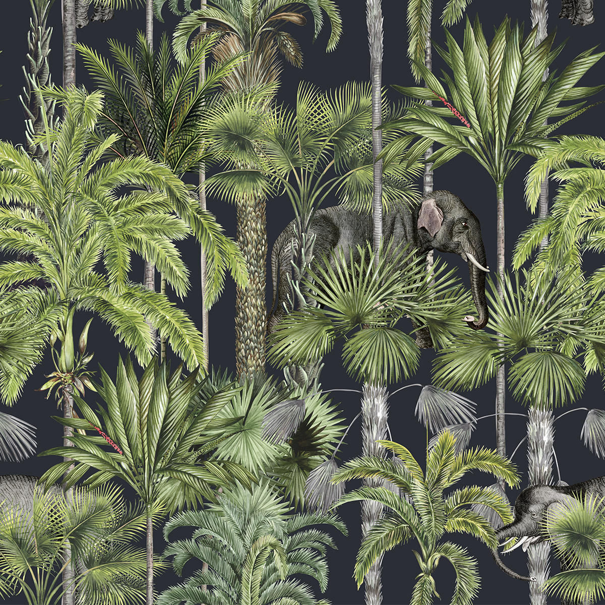 Tropical Dark grey Wallpaper