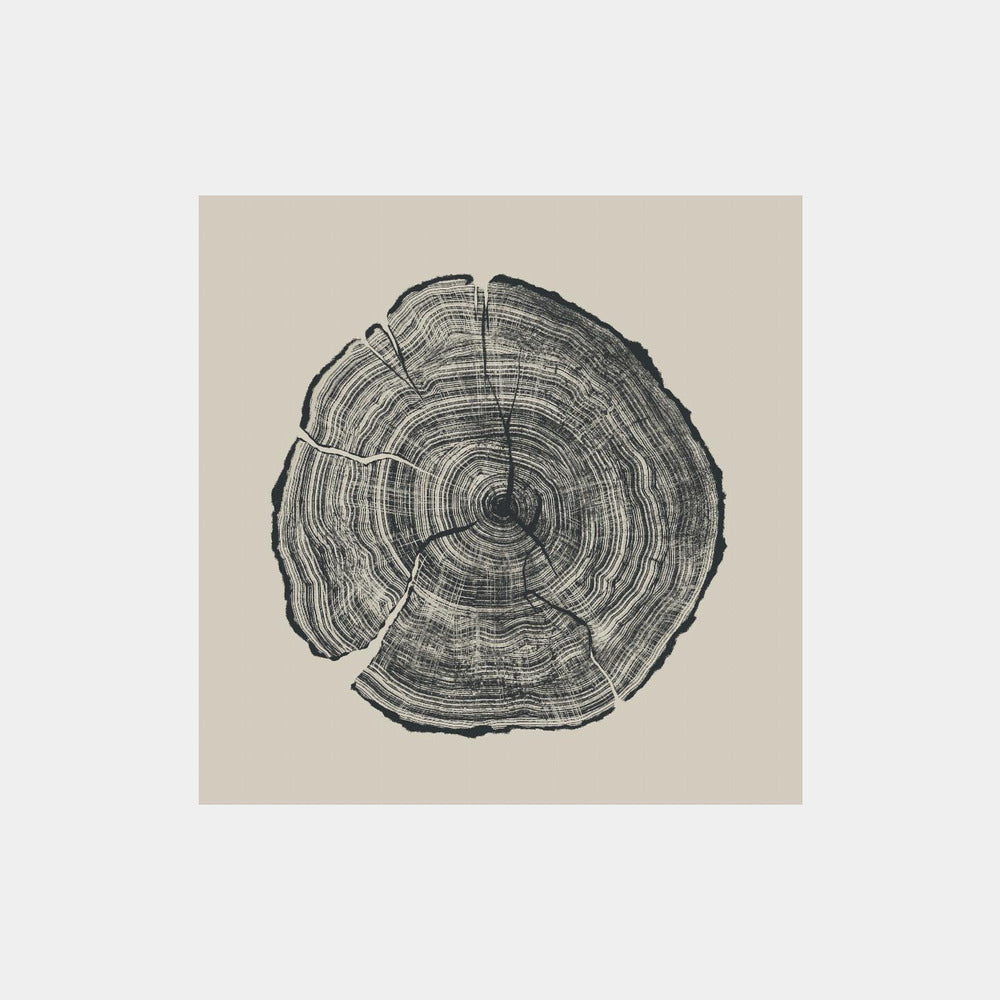 Hand Drawn Oak Art Print