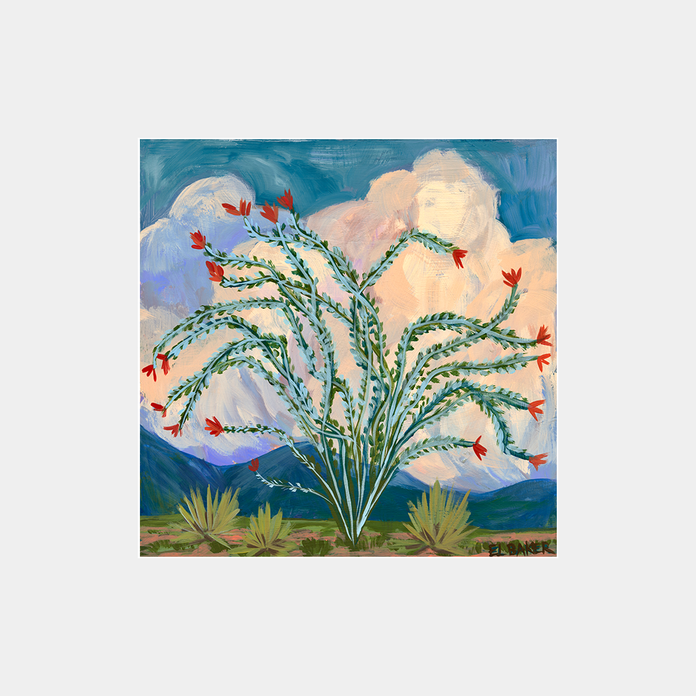 Ocotillo Art Print