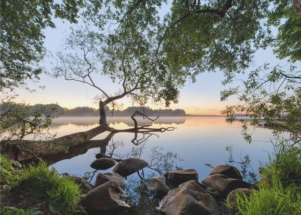 Lake view